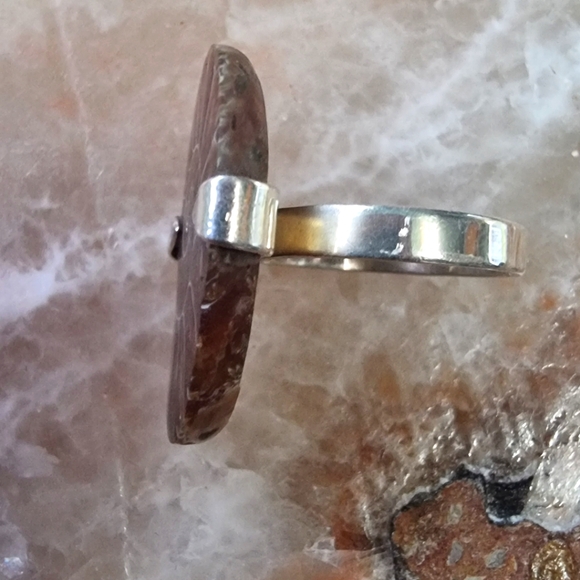 Ammonite Fossil Sterling Silver Ring - Picture 4 of 7